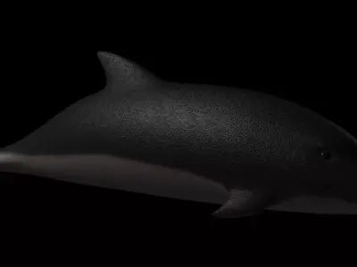 Dolphin Rigged Low-poly 3D model