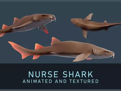 Nurse Shark Low-poly 3D model