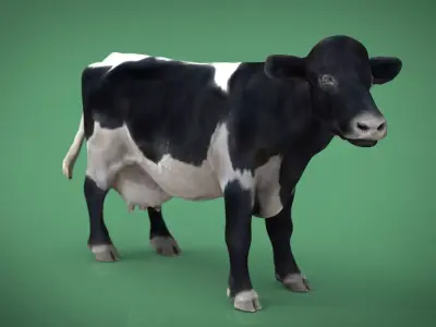 REALISTIC COW Low-poly 3D model