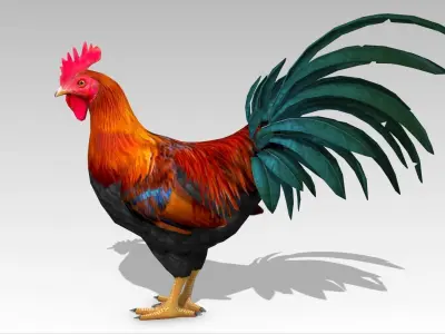 Rooster Low-poly 3D model