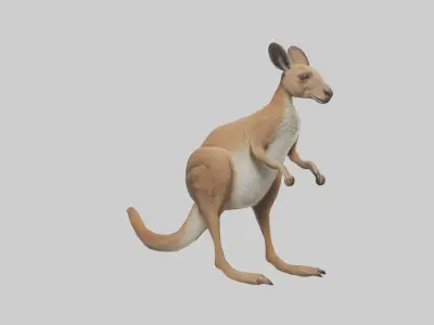 Kangaroo hopping model Low-poly 3D model