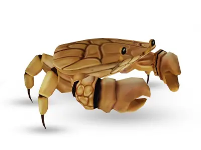 3D Crab Low-poly 3D model