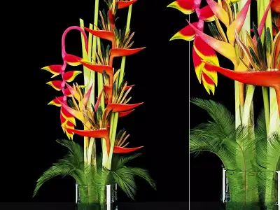 Plant 8 bird of paradise flower arrangement 3D model