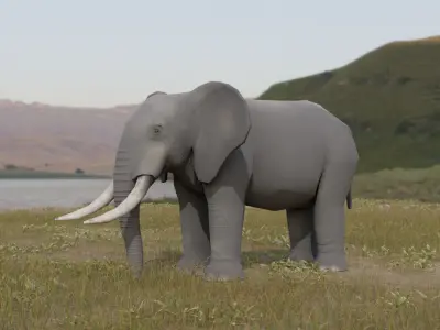 Elephant Low-poly 3D model