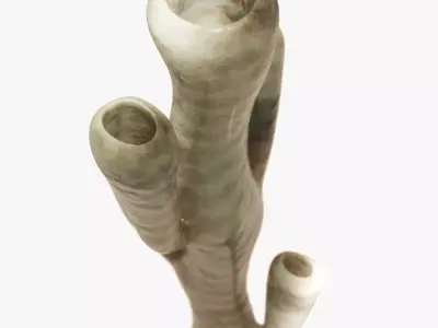 Vauxia Low-poly 3D model