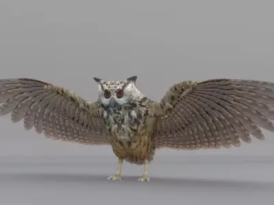 Barn Owl Low-poly 3D model