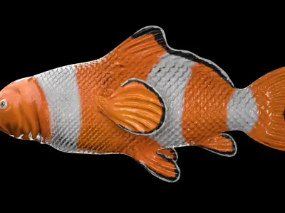 cartoon nemo fish Low-poly 3D model
