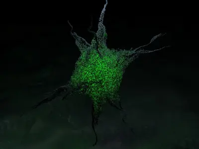 Sci-fi Virus Free 3D model