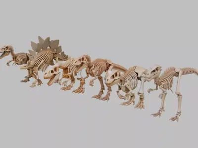 Dinosaurs Skeletons Collection Low-poly 3D model