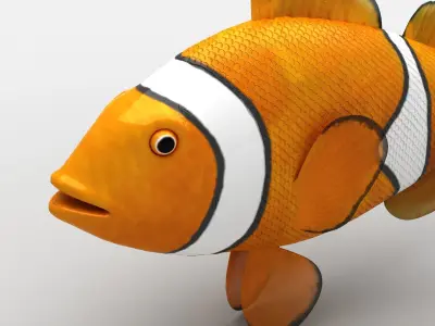 Clownfish Amphiprioninae Nemo Low-poly 3D model