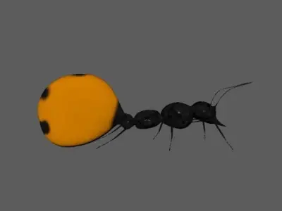 Honey Ant 3D model