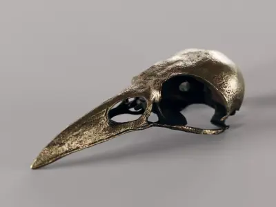 crow skull - bronze 3D model