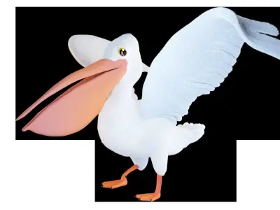 Pelican 3D model