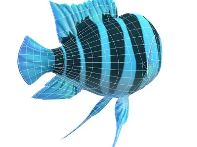 Humphead Cichlid Fish Cartoon Animated Low-poly 3D model