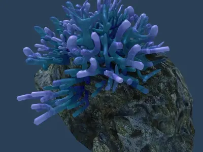 Coral on rock 3D model