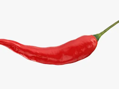 Red Hot Chili Pepper 3D model
