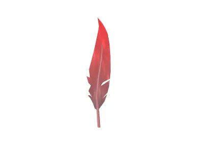 Feathers v1 003 Low-poly 3D model