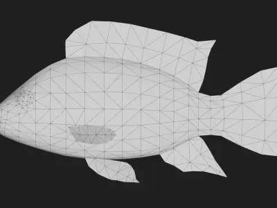 Cichlid Low-poly 3D model