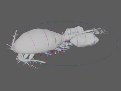 Cyclops Rigged 3D model