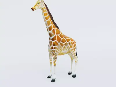 Giraffe Free 3D model