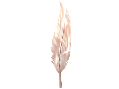 Feathers v1 012 Low-poly 3D model