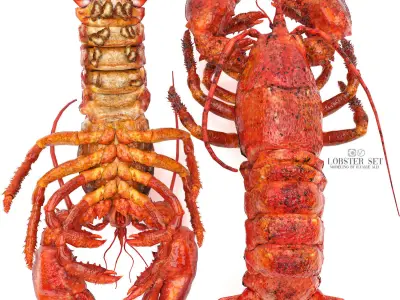 lobster set on slate 3D model