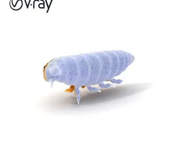 Cartoon Insect D Model Pack Low-poly 3D model