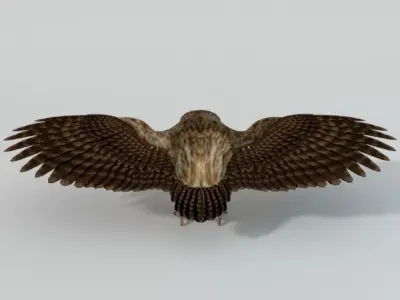 Owl bird Low-poly 3D model