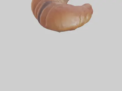 Deer Stomach Low-poly 3D model