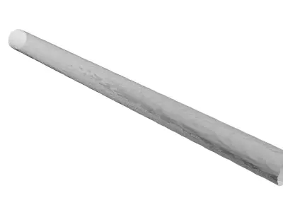 Leech Blood Cells In Segment 3D model