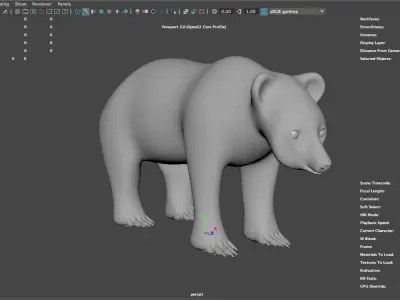 Wild bear called Bear-d 3D model