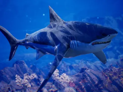 Sea Animals 12 Meshes Low-poly 3D model