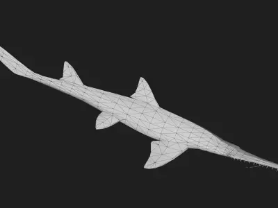 Shark Low-poly 3D model