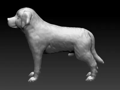 CUTE DOG 3D Printed Model Free 3D print model