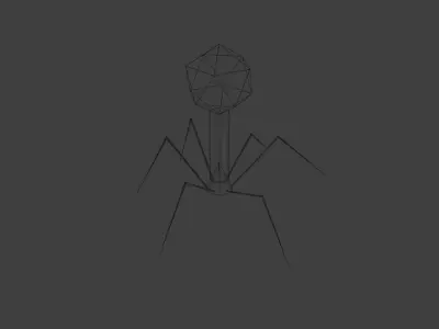 Bacteriophage Low Poly insect Low-poly 3D model