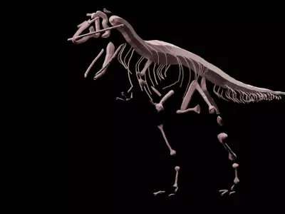 Stylisez T-Rex Skeleton Low-poly 3D model