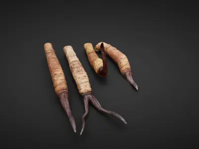 insect Low-poly 3D model