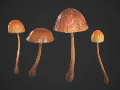 Generic Mushrooms Low-poly 3D model
