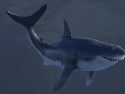 Great White Shark Rigged and Animation Low-poly 3D model