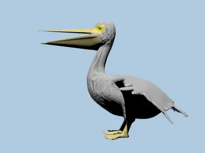 Pelican 3D model Low-poly 3D model