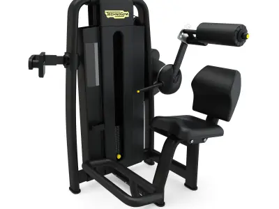 Technogym - Selectorised - Lower Back 3D model