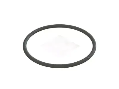 O Ring Vedabras 13024 3D model