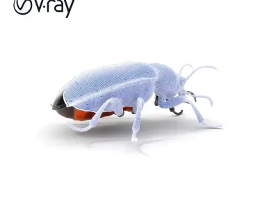 D Beetle Model Pack  High Detail Arthropod Low-poly 3D model