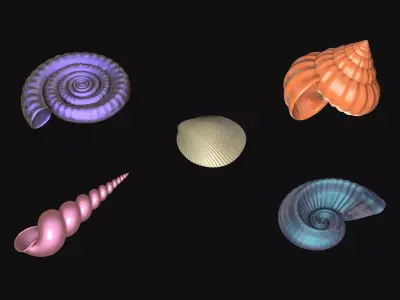 Shells and ammonites 3D model