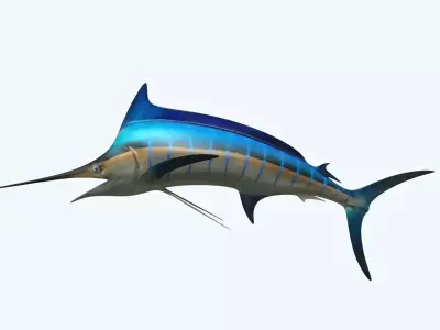 Marlin 3D model