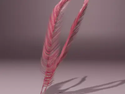 Feather 3D model