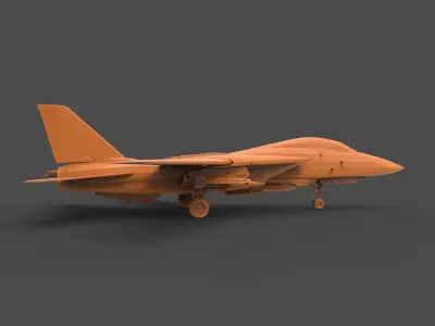 F-14 Tomcat 3D print model