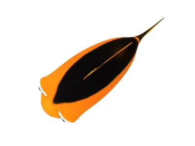 Common Carp Fish Cartoon Animated Low-poly 3D model