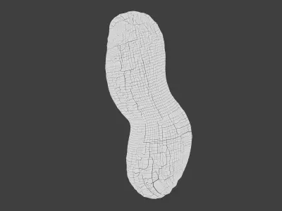 Peanut - Commercial Ready Low-poly 3D model
