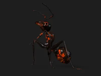 Ant-A2 3D model